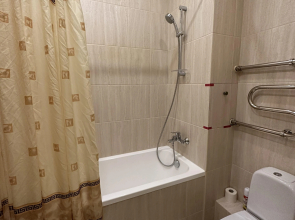 Апартаменты Елагин Апарт