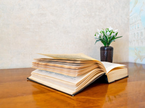 Апартаменты Сладких Снов на Толмачёва 17