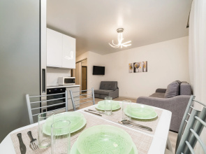 Studiya Na Vishnevskogo Apartments