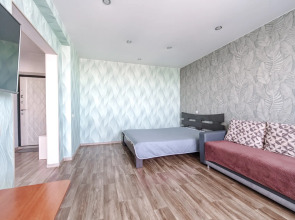 Квартира Зейская 220