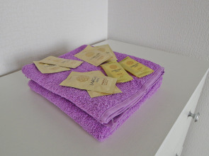 Апартаменты на Тихой