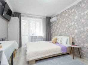 Uyutnaya Studiya V Tsentre Apartments