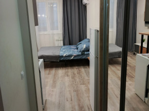 Квартира Отличная студия в Спутнике