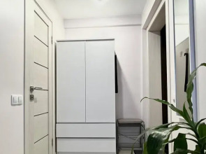 Квартира с окнами на лес