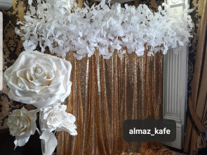 Гостиница Алмаз