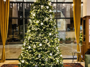 Отель Biography Tbilisi