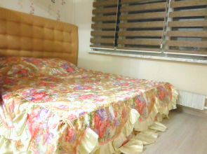 Апартаменты Однушка в центре Балашихи