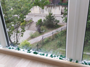 Апартаменты Ольга