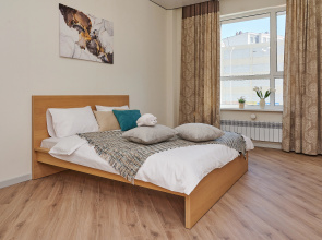 Odnokomnatnaya V Tsentre Levogo Berega Apartments