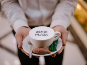 Отель DENDI PLAZA