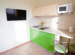 Апартаменты Золотой Шар на Революционной 3