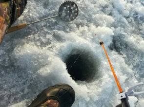 Апартаменты Отдых на Селигере турбаза Чайка