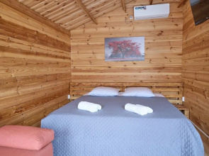 Glamping sinop-houses