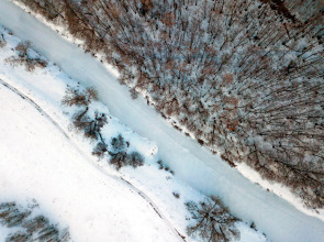 База отдыха Экопарк Бобровый Мыс