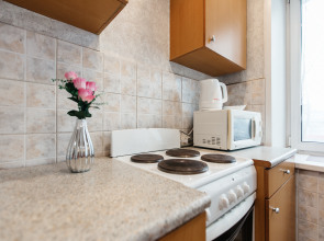 Апартаменты Гоголя 19