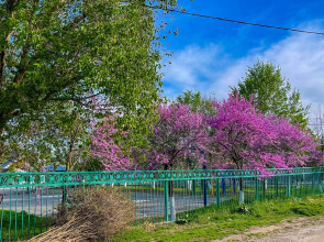 Апартаменты Двухкомнатные с двориком и парковкой