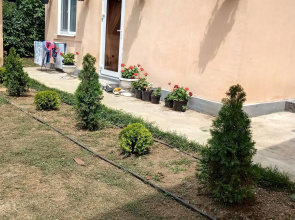 Ameli Guest House