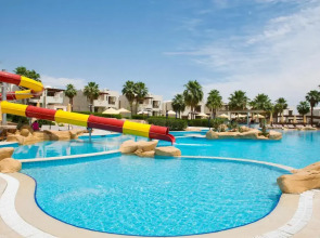 Amphoras Aqua Adults Friendly