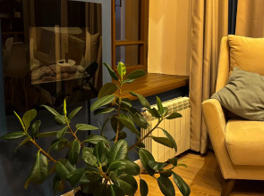 Квартира с отдельной спальней в центре Ярославля