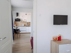 Трехкомнатные апартаменты Live in Karelia на Машезерской 5