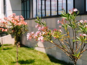 Квартира в ЖК Сочи Парк