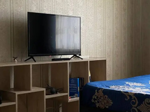 Apartamenty na Kol'cova 2