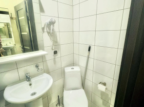 Апартаменты Liki-Mir Apartments Чкаловская