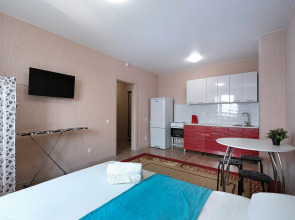 Квартира уютная на Титова 255/2