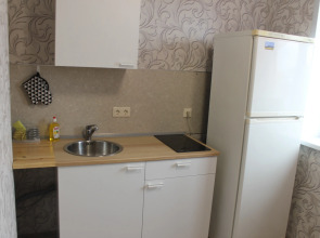 Апартаменты У СГУГИТ