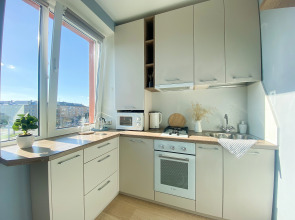 Апартаменты двухкомнатные с Видом на Привокзальную Площадь Hygge Karelia