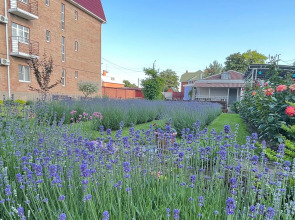 Отель Крыжовник