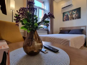 Апартаменты Bisness для 2-их гостей