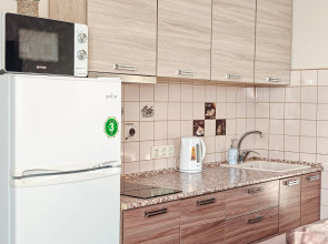 Апартаменты Фрунзе 49/2