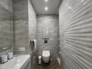 Апартаменты Savin House