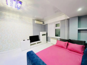 Квартира Просторная Евро2 в Самом Центре Пл Орджоникидзе