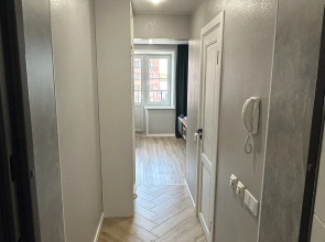 Квартира двухуровневая у Московского проспекта