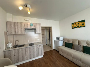 Апартаменты На 18 этаже Сибирская 42