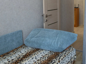 Апартаменты на Физкультурной 115