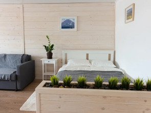 Апартаменты Студия Тушканова 3