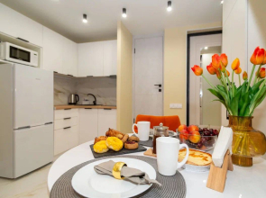 Апартаменты ДзенХоум Отвлечение 782