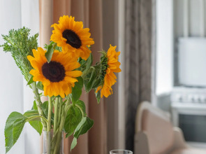 Апартаменты Кварт-Отель, Гашека, 11