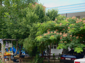 Гостевой Дом Татьяна