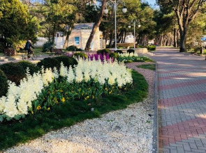 Гостевой дом на Садовой 62