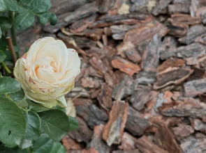 Гостевой дом Тай-Тай