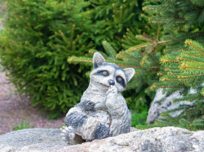 Гостевой дом на Берегу Ладоги