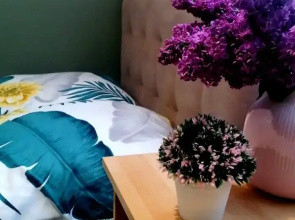 Uyutnye na Gagarina Apartments