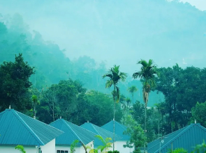 Moon Hill Resort Munnar ( Nature Retreat )