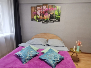 Апартаменты Белые ночи у ЖД Вокзала