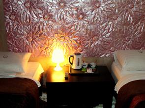Diadema Sheremetevo Guest House