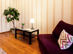 Апартаменты Bliss aparts: Centre-Rybinskaya 11